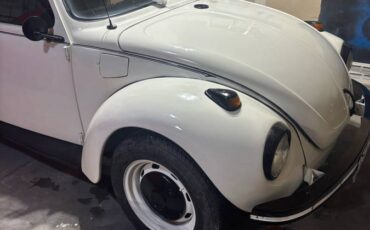 Volkswagen-Super-beetle-1973-white-152887-9