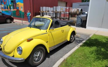 Volkswagen-Super-beetle-1973-yellow-27920-10