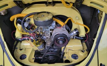 Volkswagen-Super-beetle-1973-yellow-27920-11