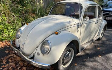 Volkswagen-Vw-beatle-1966-white-160934-1