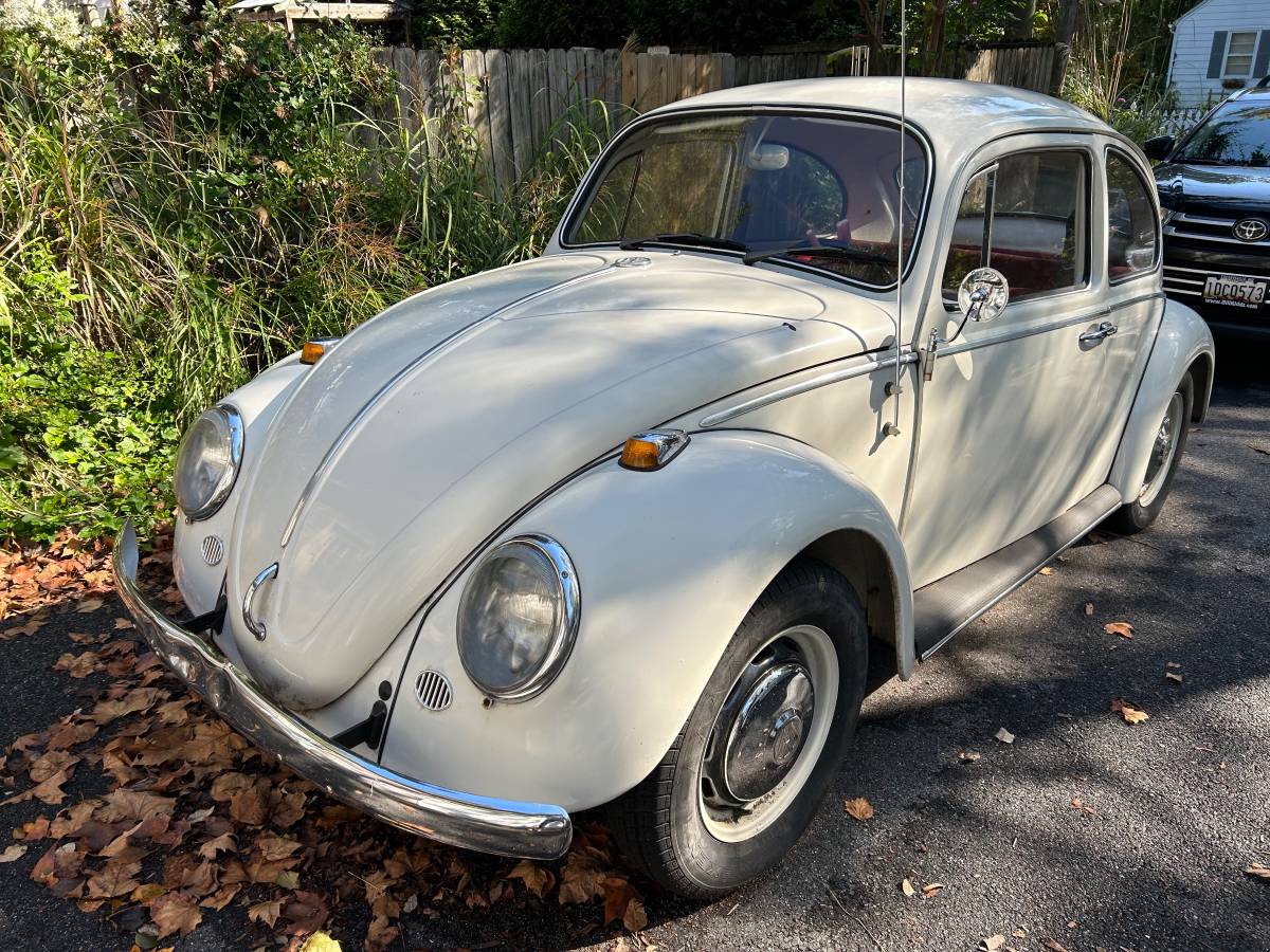 Volkswagen-Vw-beatle-1966-white-160934-1