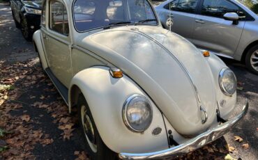 Volkswagen-Vw-beatle-1966-white-160934