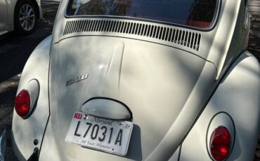 Volkswagen-Vw-beatle-1966-white-160934-4