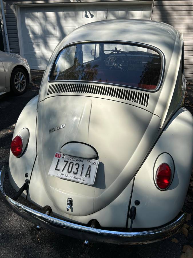 Volkswagen-Vw-beatle-1966-white-160934-4