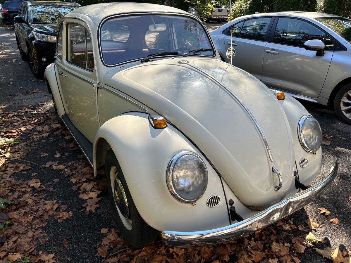 Volkswagen-Vw-beatle-1966-white-160934