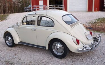 Volkswagen-Vw-beetle-1963-white-73225-1