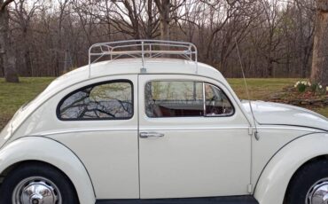 Volkswagen-Vw-beetle-1963-white-73225