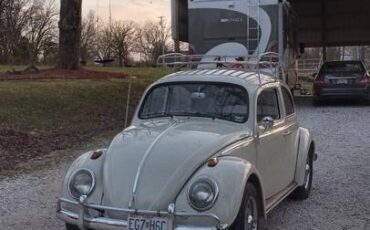 Volkswagen-Vw-beetle-1963-white-73225-7