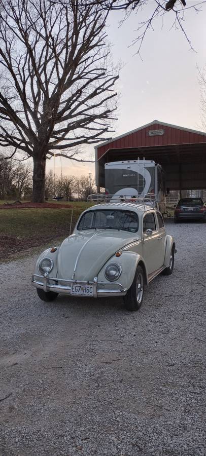 Volkswagen-Vw-beetle-1963-white-73225-7