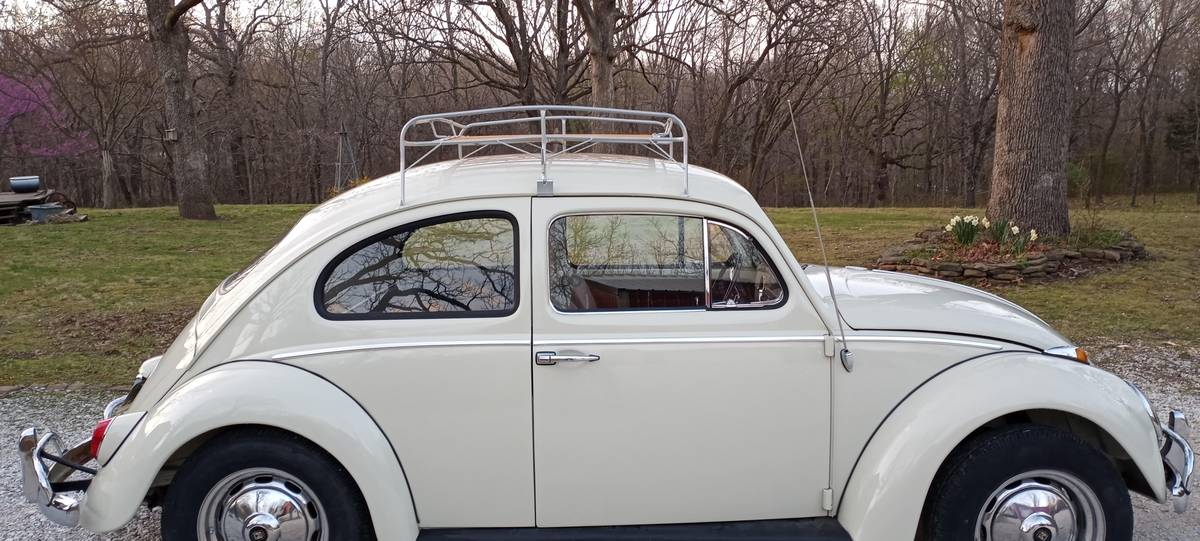 Volkswagen-Vw-beetle-1963-white-73225