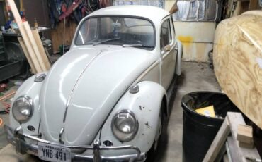 Volkswagen-Vw-beetle-1966-white-160934-6