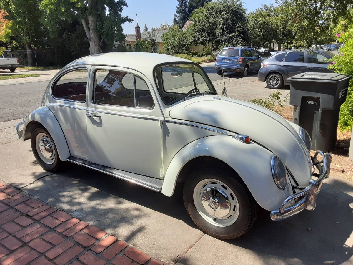 Volkswagen-Vw-beetle-1966-white-37015-1