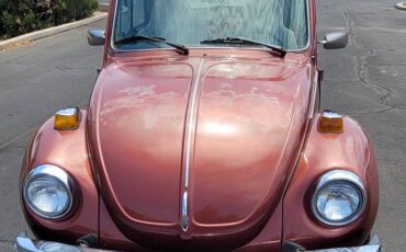 Volkswagen-Vw-beetle-convertible-1978-custom-158483-2