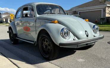 Volkswagen-Vw-beetle-fusca-1981-grey-198683-12