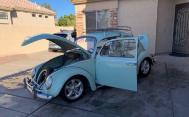 Volkswagen-Vw-bug-1965-custom-72364-16