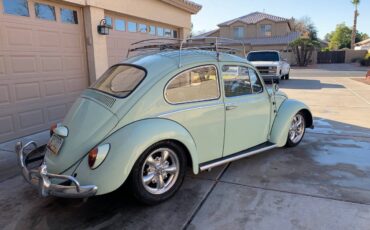 Volkswagen-Vw-bug-1965-custom-72364-8