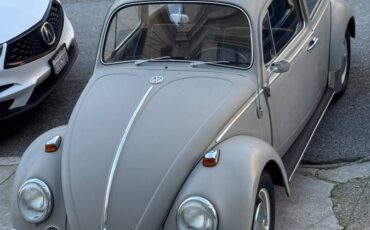 Volkswagen-Vw-bug-1966-54718-1