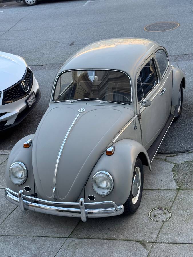 Volkswagen-Vw-bug-1966-54718-1