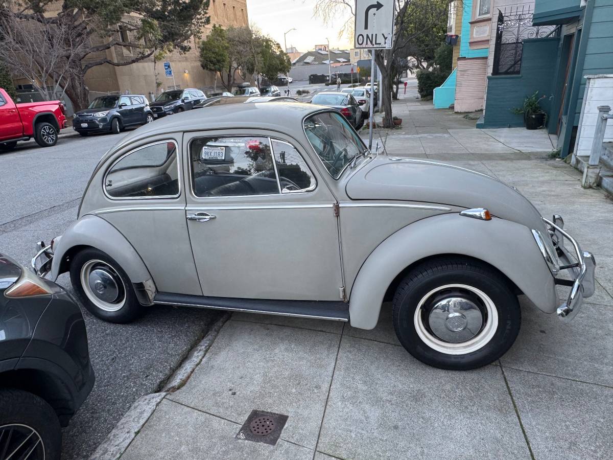 Volkswagen-Vw-bug-1966-54718-19