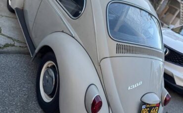 Volkswagen-Vw-bug-1966-54718-20