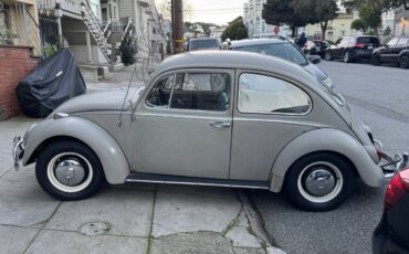 Volkswagen-Vw-bug-1966-54718-22