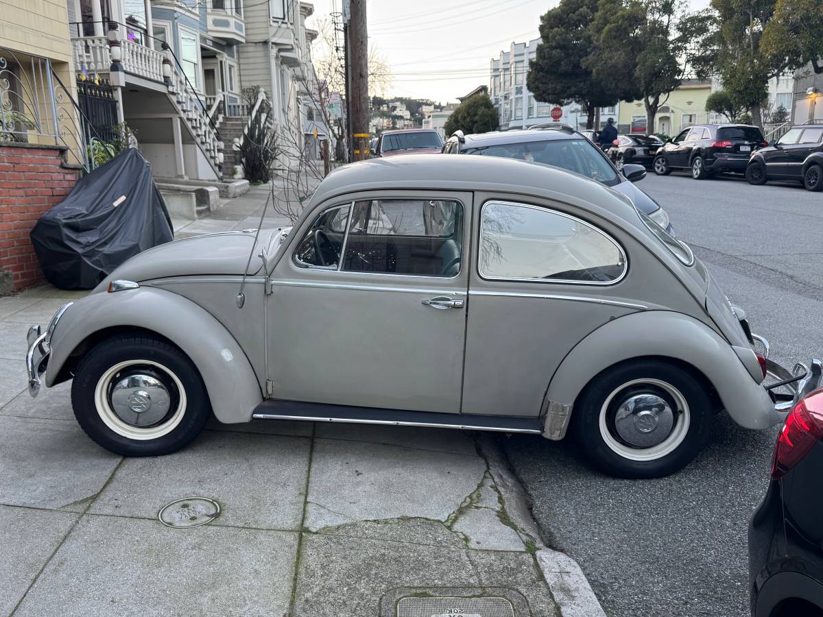 Volkswagen-Vw-bug-1966-54718-22