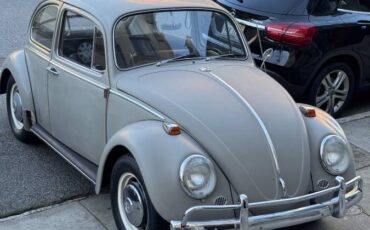 Volkswagen-Vw-bug-1966-54718