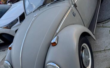 Volkswagen-Vw-bug-1966-54718-7