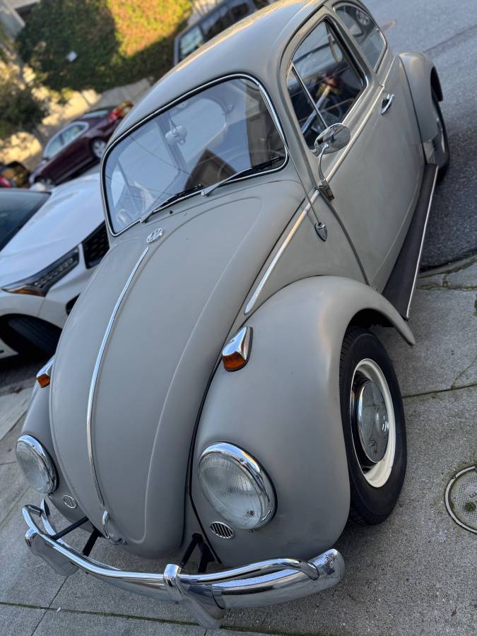 Volkswagen-Vw-bug-1966-54718-7