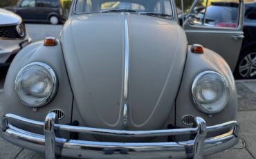 Volkswagen-Vw-bug-1966-54718-8