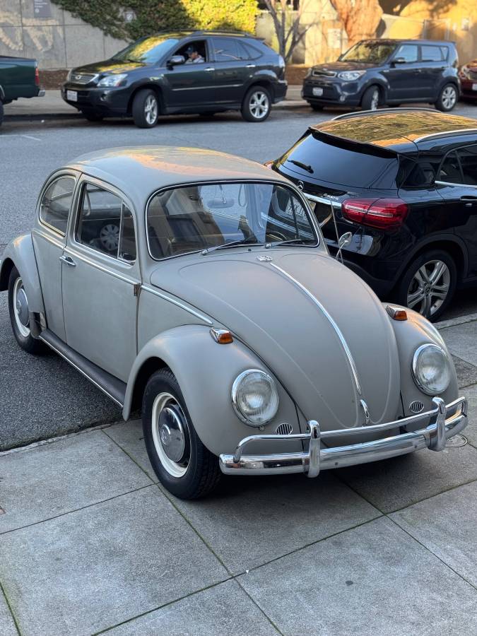 Volkswagen-Vw-bug-1966-54718