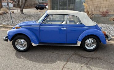 Volkswagen-beatle-1978-Blue-White-15401-13