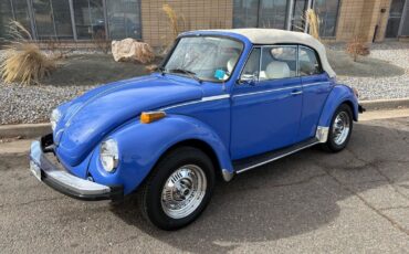 Volkswagen-beatle-1978-Blue-White-15401-14