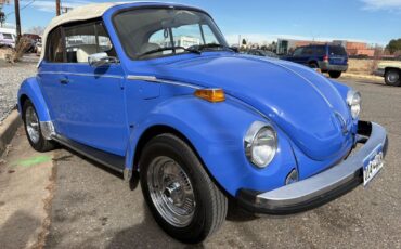 Volkswagen-beatle-1978-Blue-White-15401-21