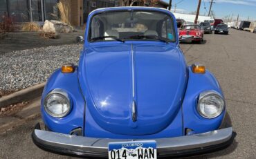 Volkswagen-beatle-1978-Blue-White-15401-23