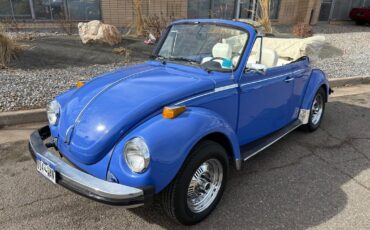 Volkswagen-beatle-1978-Blue-White-15401-25