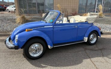 Volkswagen-beatle-1978-Blue-White-15401-28