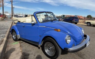 Volkswagen-beatle-1978-Blue-White-15401-33