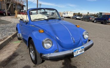 Volkswagen-beatle-1978-Blue-White-15401-35