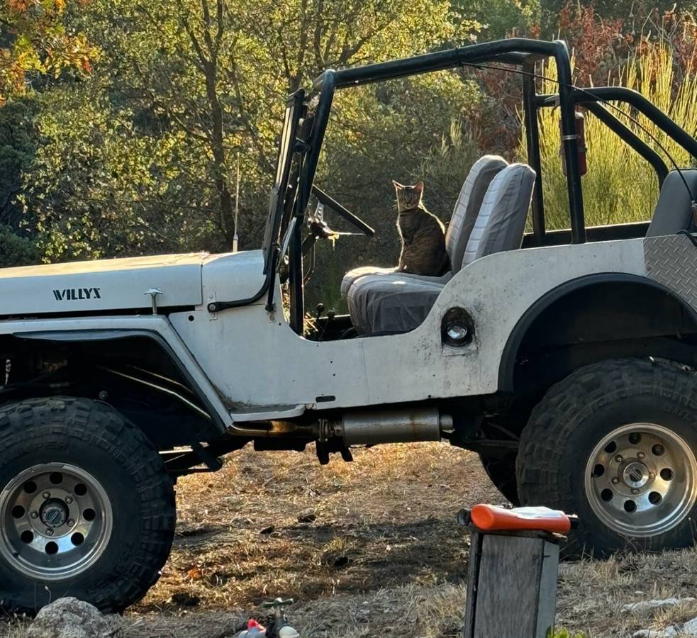 Willys-1948-white-2-1