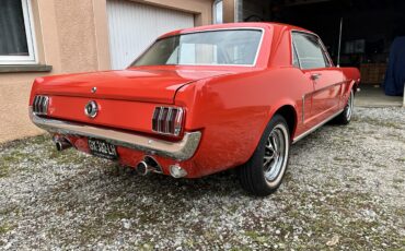 goodtimers-Ford-Mustang-1965-1