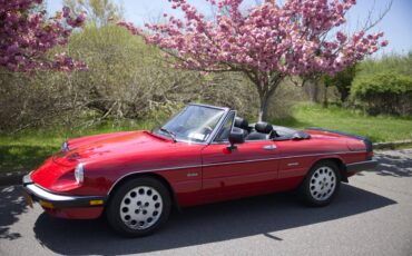 Alfa-romeo-Spider-1987-red-64374-12