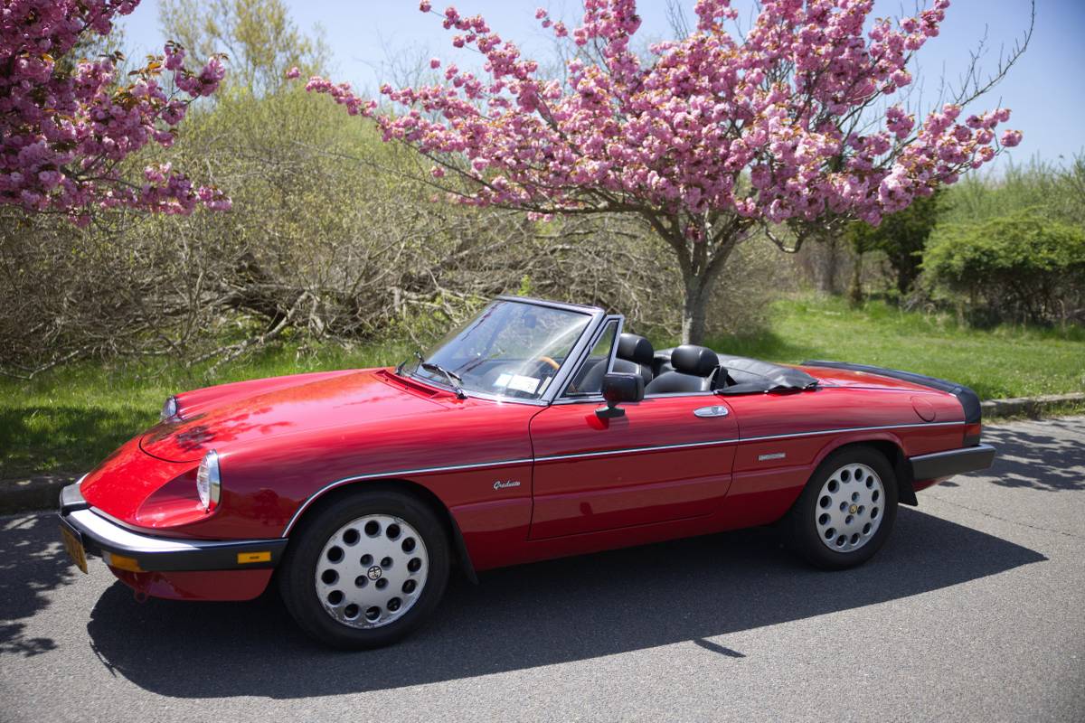 Alfa-romeo-Spider-1987-red-64374-12