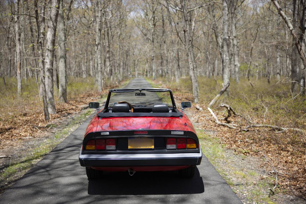 Alfa-romeo-Spider-1987-red-64374-13