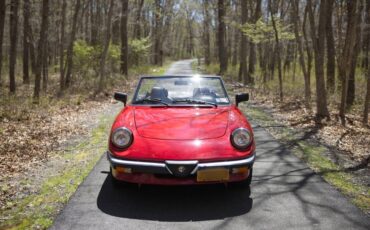 Alfa-romeo-Spider-1987-red-64374-14