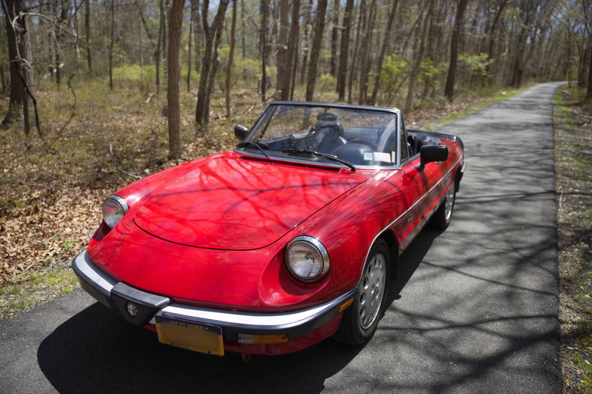 Alfa-romeo-Spider-1987-red-64374-15