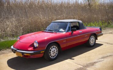 Alfa-romeo-Spider-1987-red-64374-16