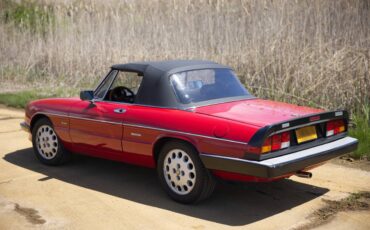 Alfa-romeo-Spider-1987-red-64374-9