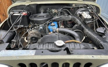 Amc-Cj5-1980-green-97087-5