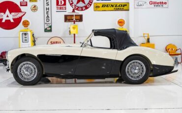 Austin-Healey-100-4-BN2-1956-White-Black-0-12